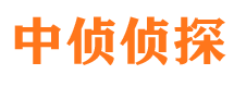 清河市婚姻调查